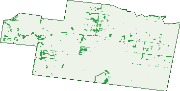 Where the trees are in Bolinda
