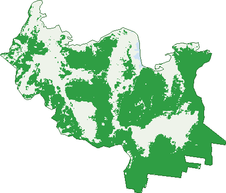 Where the trees are in Gooandra