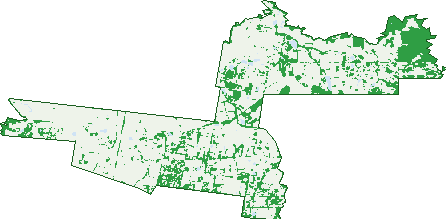 Where the trees are in Coldstream
