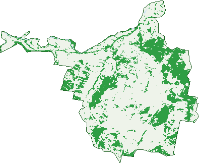 Where the trees are in Mount Alfred