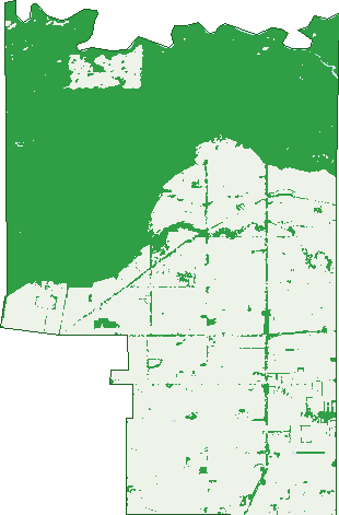 Where the trees are in Yielima