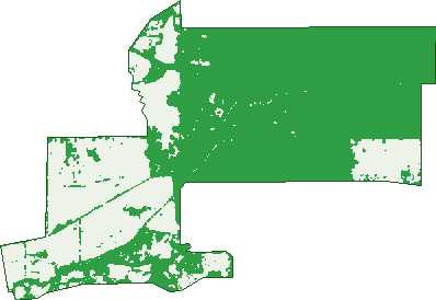 Where the trees are in Graytown
