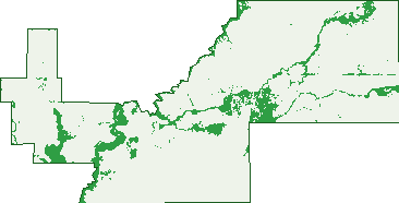 Where the trees are in Jeruk