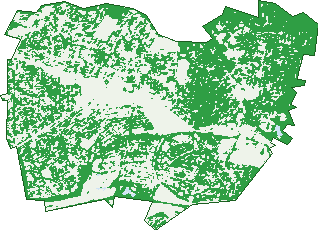 Where the trees are in Ferntree Gully