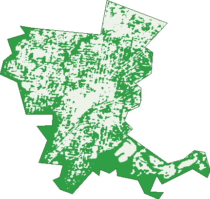 Where the trees are in Ivanhoe