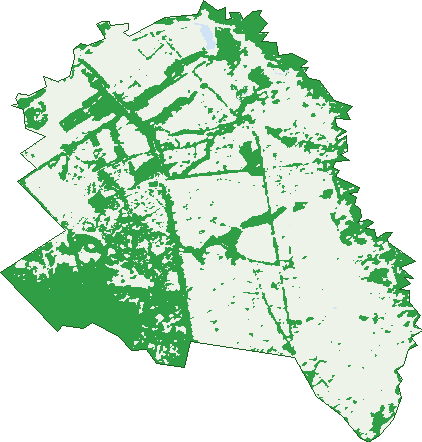 Where the trees are in Baranduda