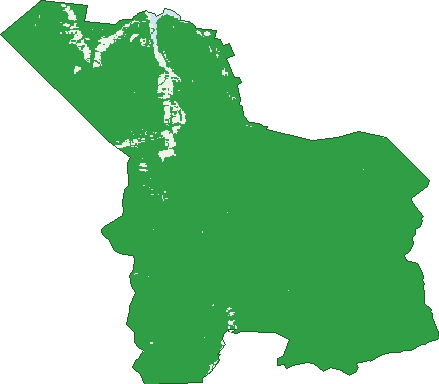 Where the trees are in Dandongadale