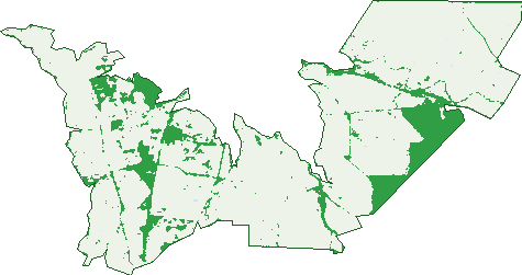 Where the trees are in Derrinal