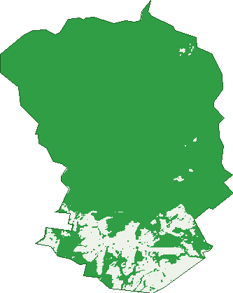 Where the trees are in Kalimna West