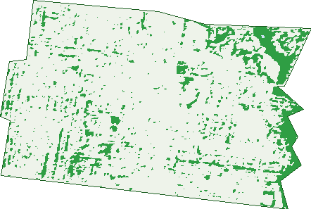 Where the trees are in Coburg