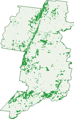 Where the trees are in Lambs Valley