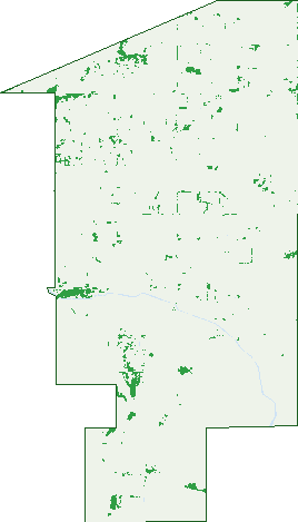 Where the trees are in Nanneella