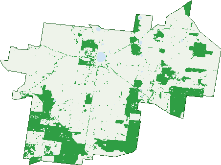Where the trees are in Edenhope