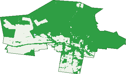 Where the trees are in Amherst