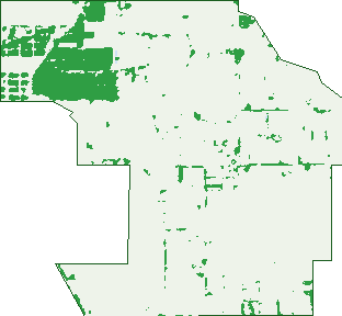Where the trees are in Zeerust