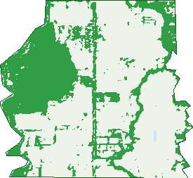 Where the trees are in Kialla West
