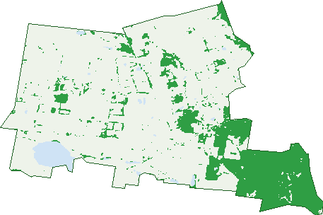 Where the trees are in Blampied