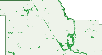 Where the trees are in Yundool