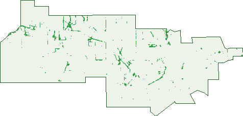 Where the trees are in Willatook
