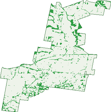 Where the trees are in Yarragon