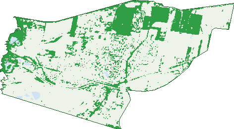 Where the trees are in Morwell
