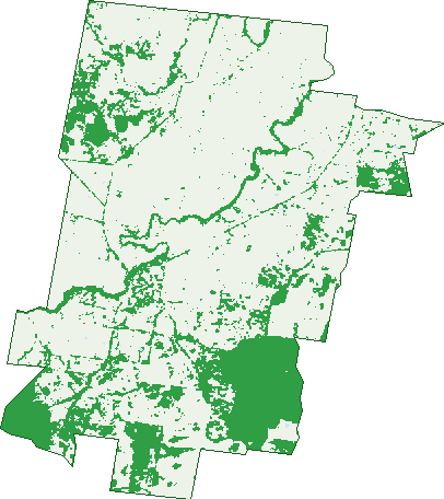 Where the trees are in Metcalfe