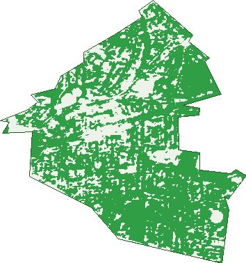 Where the trees are in Ringwood East