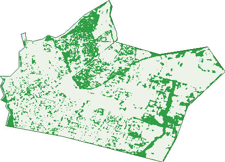 Where the trees are in Mornington