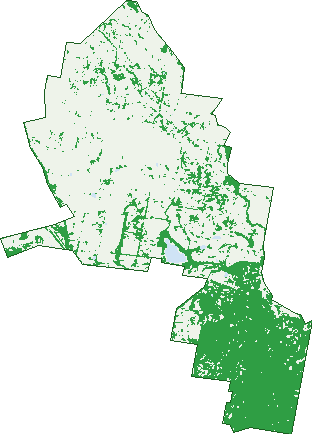 Where the trees are in Harcourt North