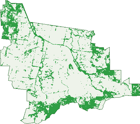 Where the trees are in Gooram