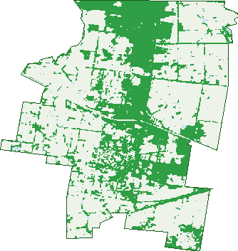 Where the trees are in Gordon