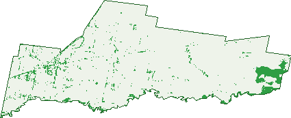 Where the trees are in Glengarry