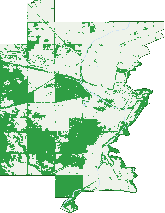 Where the trees are in Murchison