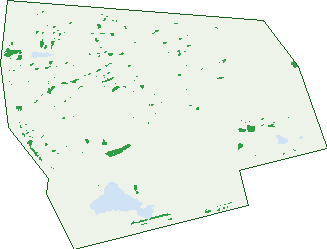 Where the trees are in Williams Landing