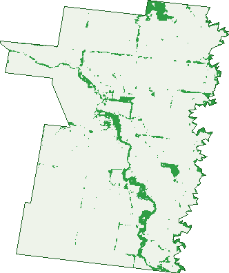 Where the trees are in Fernihurst