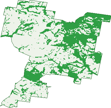Where the trees are in Foster North
