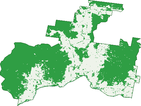 Where the trees are in Jingellic