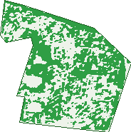 Where the trees are in Watsonia North