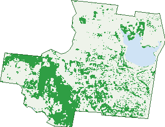 Where the trees are in Greenvale