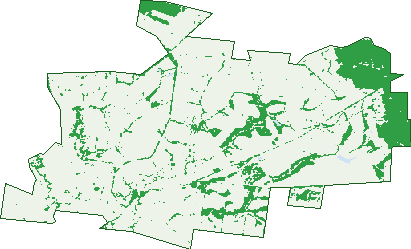 Where the trees are in Melville Forest
