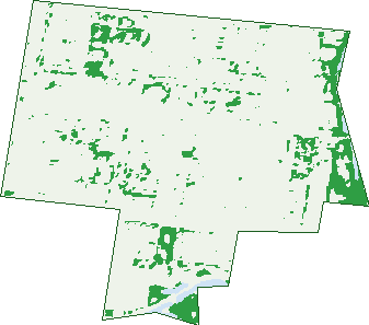 Where the trees are in Richmond