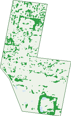 Where the trees are in Clarinda