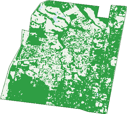 Where the trees are in Langwarrin
