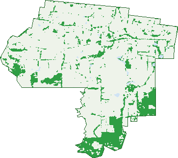Where the trees are in Millbrook