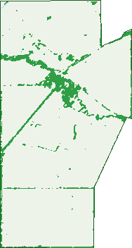 Where the trees are in Moora