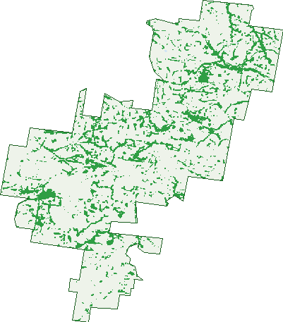 Where the trees are in Bena