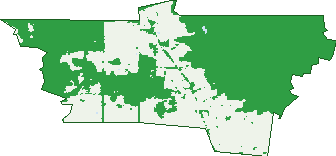 Where the trees are in Colbrook