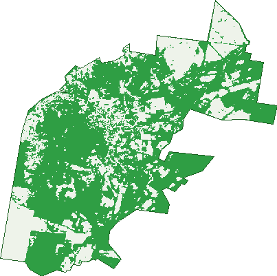 Where the trees are in Maldon