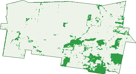 Where the trees are in Nine Mile
