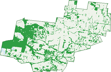 Where the trees are in Nyora
